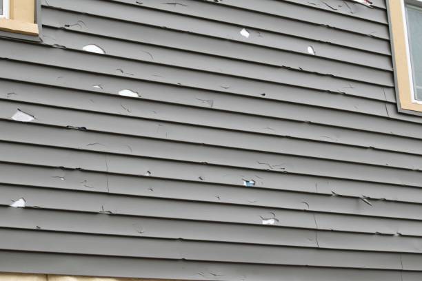 Best Custom Trim and Detailing for Siding  in Evansburg, PA